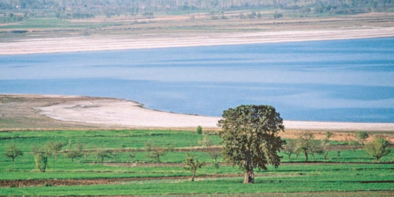 Türkiye’de Göller Alarm Veriyor: Son 60 Yılda 240 Gölden 186'sı Tamamen Kurudu Türkiye’de Göller Alarm Veriyor: Son 60 Yılda 240 Gölden 186’sı Tamamen Kurudu
