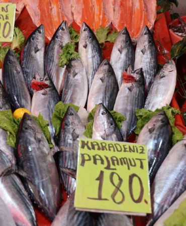 elazigda-balik-sezonuna-yogun-ilgi-palamut-kilosu-180-tlden-satista-6RvLjcnj.jpg