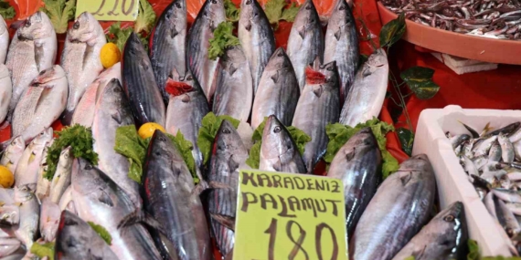 Elazığ’da Balık Sezonuna Yoğun İlgi: Palamut Kilosu 180 TL’den Satışta Elazığ’da Balık Sezonuna Yoğun İlgi: Palamut Kilosu 180 TL’den Satışta