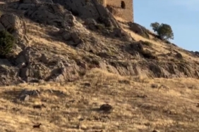 elazigda-dag-kecileri-surucu-halinde-goruntulendi-G2hN7Yh4.jpg
