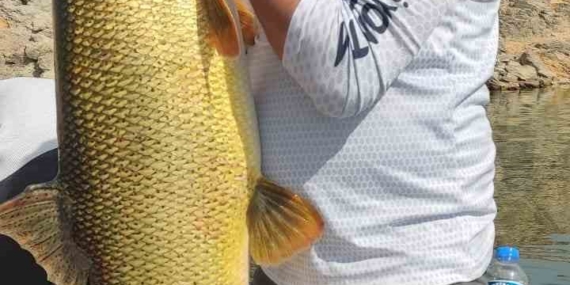 Elazığ’da oltaya 38 kiloluk dev Fırat turnası takıldı Elazığ’da oltaya 38 kiloluk dev Fırat turnası takıldı