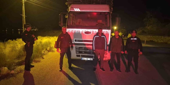 Elazığ’da orman suçlarıyla mücadelede sıkı denetim