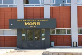 elazigda-tavuk-ciftliginde-kalorifer-kazani-patladi-1-kisi-hayatini-kaybetti-wvnSAPfN.jpg