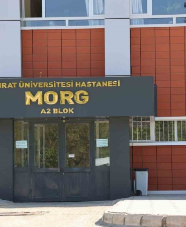 elazigda-tavuk-ciftliginde-kalorifer-kazani-patladi-1-kisi-hayatini-kaybetti-wvnSAPfN.jpg