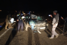 elazigda-trafik-kazasinda-yaralanan-4-cocuk-annesi-hayatini-kaybetti-9cg2EL7B.jpg