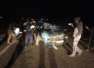 elazigda-trafik-kazasinda-yaralanan-4-cocuk-annesi-hayatini-kaybetti-9cg2EL7B.jpg