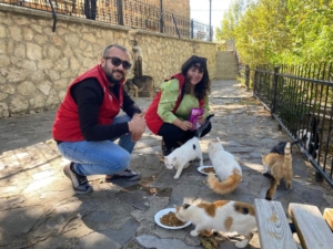 elazigin-genc-gonullulerinden-sokak-hayvanlarina-mama-destegi-5YjvsWr1.jpg