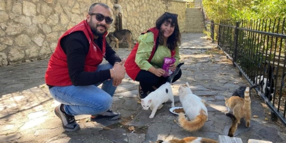 Elazığ Gençlik Merkezi'nden Sokak Hayvanlarına Mama Desteği Elazığ Gençlik Merkezi’nden Sokak Hayvanlarına Mama Desteği