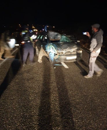yola-cikan-inege-carpan-otomobildeki-3-kisi-yaralandi-GFGh7WKW.jpg