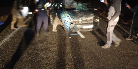 Yola çıkan ineğe çarpan otomobildeki 3 kişi yaralandı Yola çıkan ineğe çarpan otomobildeki 3 kişi yaralandı