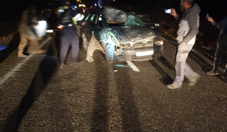 yola-cikan-inege-carpan-otomobildeki-3-kisi-yaralandi-GFGh7WKW.jpg