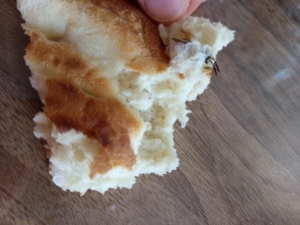 ekmegin-icinden-ari-cikti-wlaWgZnJ.jpg