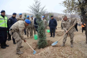 elazigda-11-kasim-milli-agaclandirma-gununde-23-bin-750-fidan-toprakla-bulustu-YqNKLtMb.jpg