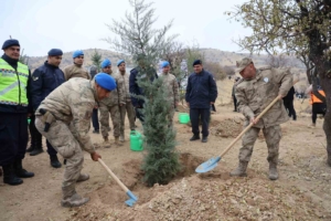 elazigda-11-kasim-milli-agaclandirma-gununde-23-bin-750-fidan-toprakla-bulustu-YqNKLtMb.jpg