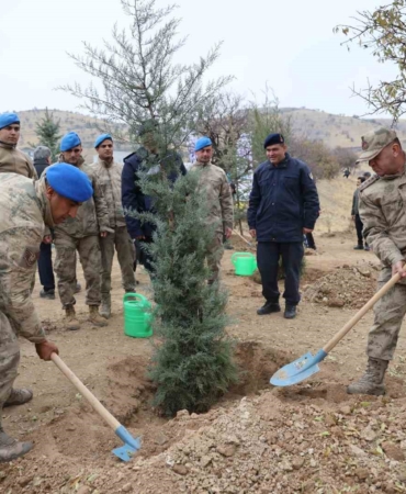 elazigda-11-kasim-milli-agaclandirma-gununde-23-bin-750-fidan-toprakla-bulustu-YqNKLtMb.jpg