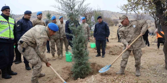 Elazığ’da 11 Kasım Milli Ağaçlandırma Günü'nde 23 Bin 750 Fidan Toprakla Buluştu Elazığ’da 11 Kasım Milli Ağaçlandırma Günü’nde 23 Bin 750 Fidan Toprakla Buluştu