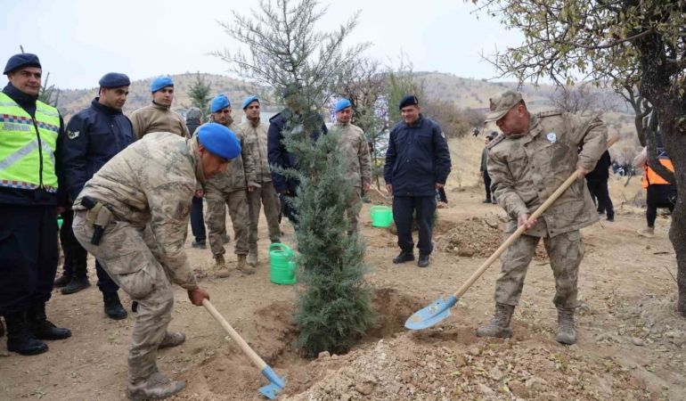 elazigda-11-kasim-milli-agaclandirma-gununde-23-bin-750-fidan-toprakla-bulustu-YqNKLtMb.jpg