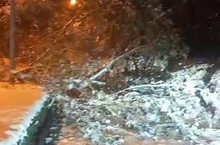 Elazığ’da Fırtına ve Kar Yağışı Ağaçları Devirdi Elazığ’da Fırtına ve Kar Yağışı Ağaçları Devirdi