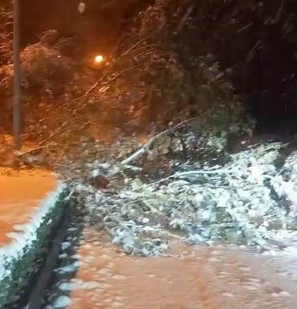 elazigda-firtina-ve-kar-yagisi-agaclari-devirdi-YwbyYIOQ.jpg