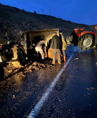 elazigda-hayvan-gubresi-yuklu-traktor-devrildi-KiK5WCdN.jpg