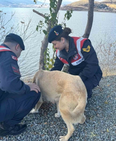 elazigda-jandarma-ekipleri-sokak-hayvanlarini-unutmadi-5SbjQNOF.jpg