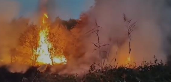 Elazığ’da korkutan yangın