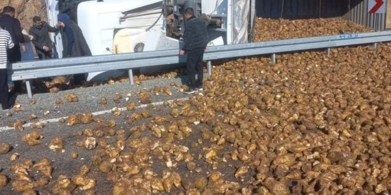 Elazığ’da Pancar Yüklü Tır Devrildi: 1 Kişi Yaralandı Elazığ’da Pancar Yüklü Tır Devrildi: 1 Kişi Yaralandı