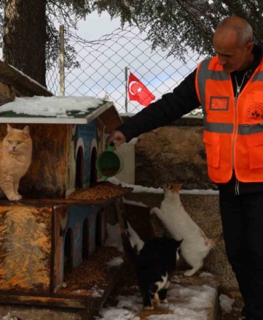 elazigda-sokak-hayvanlari-icin-dogaya-yem-birakildi-hqUO8g4B.jpg