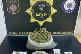elazigda-uyusturucu-operasyonu-3-tutuklama-jqUFMmJ5.jpg