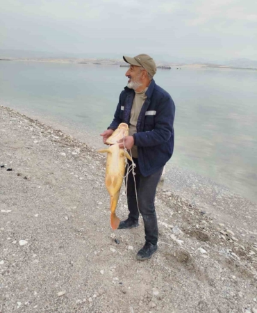 elazigli-balikcidan-yeni-rekor-21-kiloluk-sazan-avi-yifGY2wI.jpg