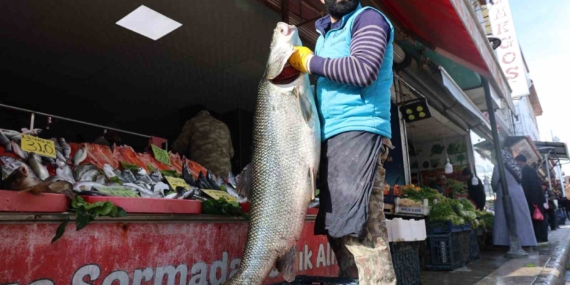 Sezonun ilk dev turna balığı Keban Barajında yakalandı