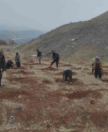 baskilde-300-hektarlik-alanda-55-bin-fidan-dikildi-K22aw1Ji.jpg