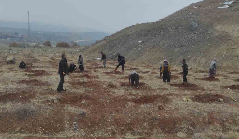 baskilde-300-hektarlik-alanda-55-bin-fidan-dikildi-K22aw1Ji.jpg