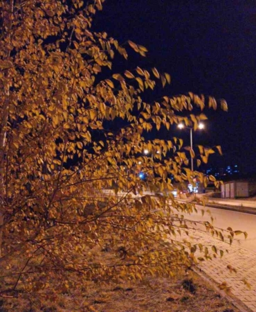 elazigda-etkili-olan-firtina-vatandaslara-zor-anlar-yasatti-8wpns4EX.jpg