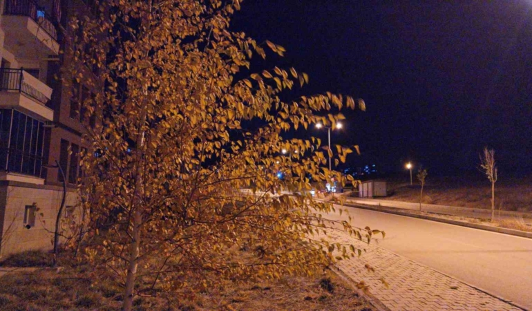 elazigda-etkili-olan-firtina-vatandaslara-zor-anlar-yasatti-8wpns4EX.jpg