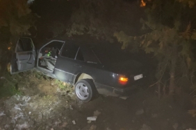 elazigda-otomobil-agaclara-carpti-4-yarali-sLC954Ka.jpg