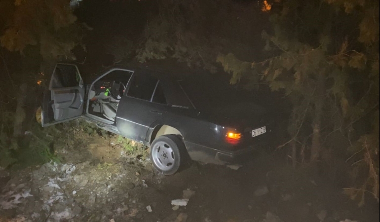 elazigda-otomobil-agaclara-carpti-4-yarali-sLC954Ka.jpg