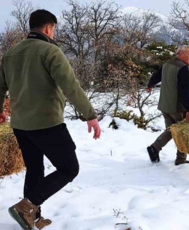 elazigda-yaban-hayvanlari-icin-dogaya-yem-birakildi-a9dFU9IY.jpg