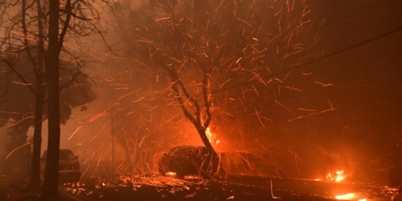 California’da Yangın Felaketi: Ekonomik Kayıplar 50 Milyar Dolara Ulaştı California’da Yangın Felaketi: Ekonomik Kayıplar 50 Milyar Dolara Ulaştı