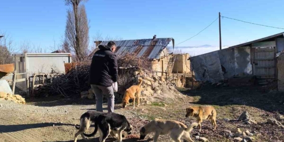 Elazığ Özel İdare ekipleri, sokak hayvanlarını unutmadı Elazığ Özel İdare ekipleri, sokak hayvanlarını unutmadı