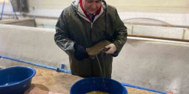 keban-su-urunleri-uretim-tesisinde-20-milyon-yavru-alabalik-uretildi-GO9E94G6.jpg