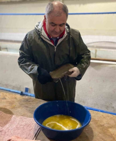 keban-su-urunleri-uretim-tesisinde-20-milyon-yavru-alabalik-uretildi-GO9E94G6.jpg