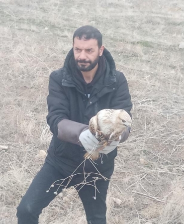 yarali-kartal-tedavi-altina-alindi-THah2hR5.jpg