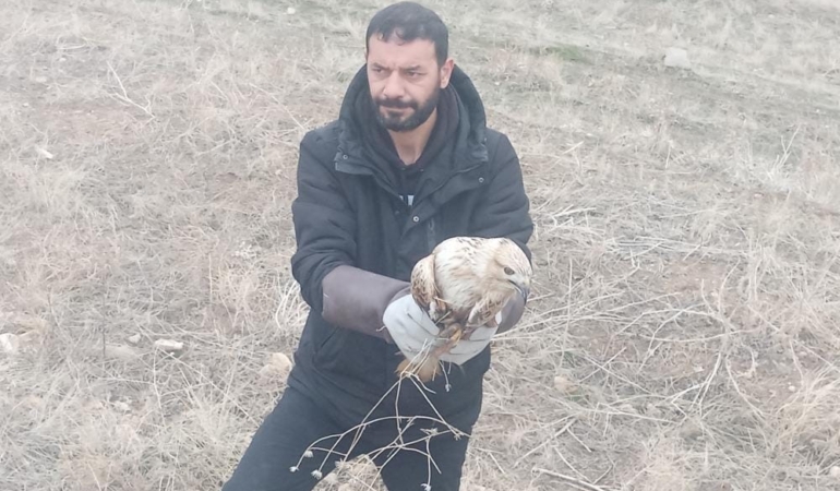 yarali-kartal-tedavi-altina-alindi-THah2hR5.jpg