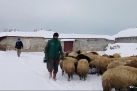 adilcevazda-sibirya-soguklari-besicileri-zorluyor-eODSOA95.jpg