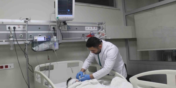 Adıyaman'da Sokak Köpeklerinin Saldırısına Uğrayan 4,5 Yaşındaki Çocuk Ağır Yaralandı Adıyaman’da Sokak Köpeklerinin Saldırısına Uğrayan 4,5 Yaşındaki Çocuk Ağır Yaralandı