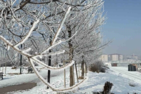 agrida-dondurucu-soguklar-ve-kis-manzaralari-8htk7c3d.jpg