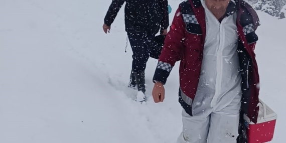 Bingöl'de Hayvan Sağlığı İçin Karşılaşılan Zorluklar ve Destek Çabaları Bingöl’de Hayvan Sağlığı İçin Karşılaşılan Zorluklar ve Destek Çabaları