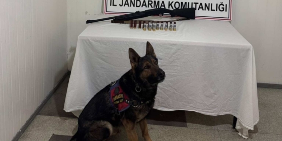 Bingöl'de Jandarma Operasyonu: 8 Şüpheli Yakalandı Bingöl’de Jandarma Operasyonu: 8 Şüpheli Yakalandı