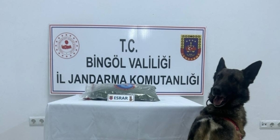 Bingöl'de Uyuşturucu Operasyonları: 8 Şüpheli Yakalandı Bingöl’de Uyuşturucu Operasyonları: 8 Şüpheli Yakalandı